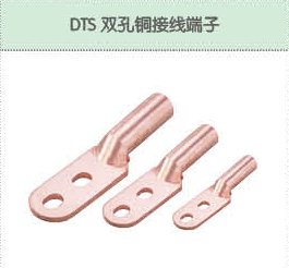 DTS双孔铜接线端子.png